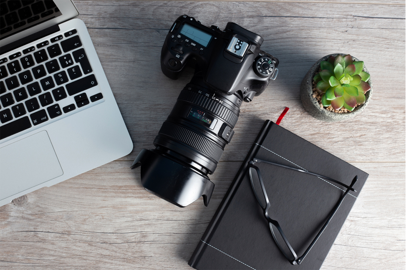 A laptop, a camera, an agenda, a pair of glasses and a plant on a table